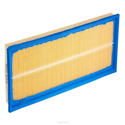 Air Filter (RY-A1325)