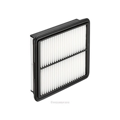 Air Filter (RY-A1950)