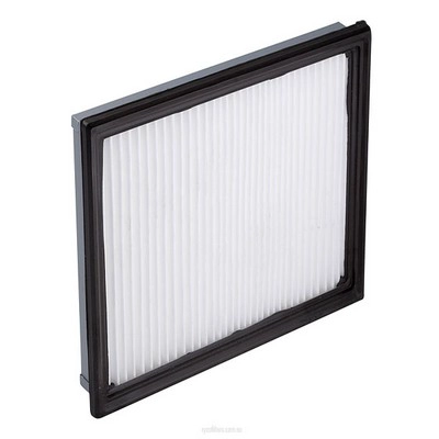 Air Filter (RY-A1366)