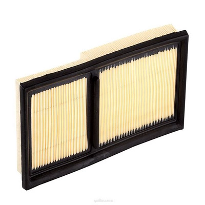 Air Filter (RY-A1567)