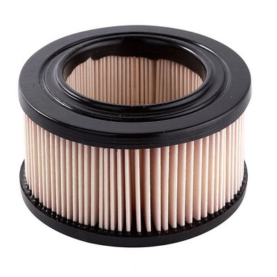 Air Filter (RY-A21)