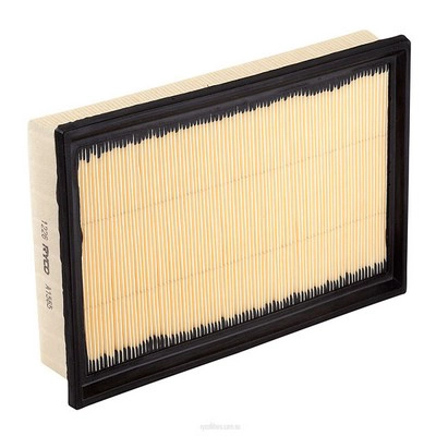 Air Filter (RY-A1565)