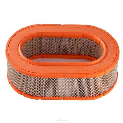 Air Filter (RY-A1667)