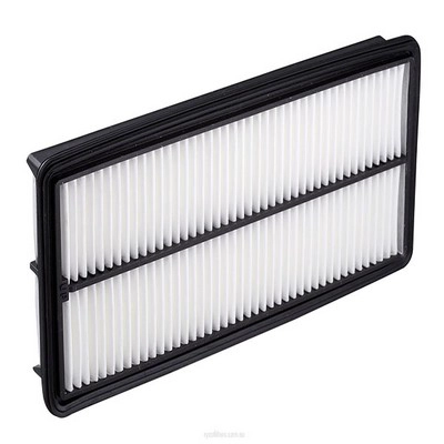 Air Filter (RY-A1507)