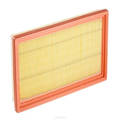 Air Filter (RY-A1451)