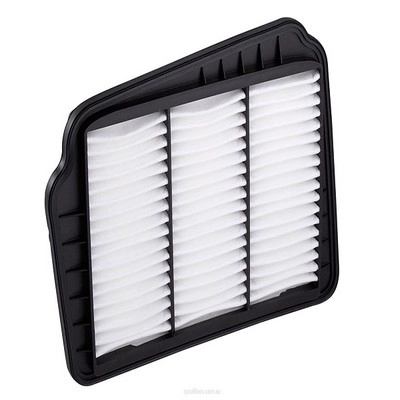 Air Filter (RY-A1517)