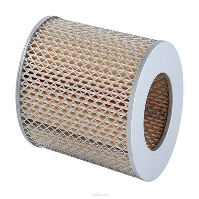 Air Filter (RY-A209)