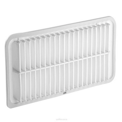 Air Filter (RY-A1764)