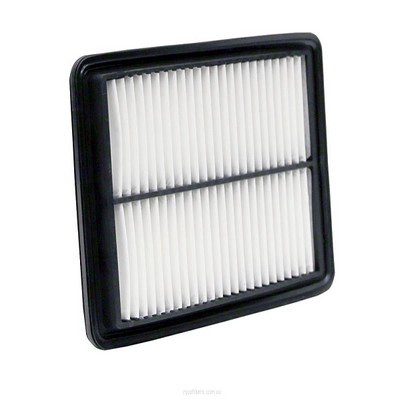 Air Filter (RY-A1859)