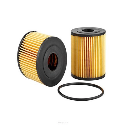 Oil Filter (RY-R2598P)
