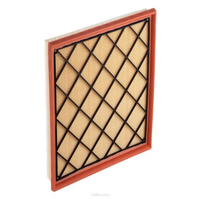 Air Filter (RY-A1747)