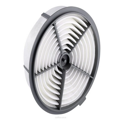 Air Filter (RY-A497)