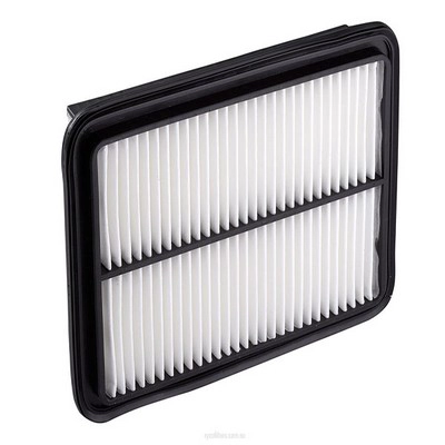 Air Filter (RY-A465)