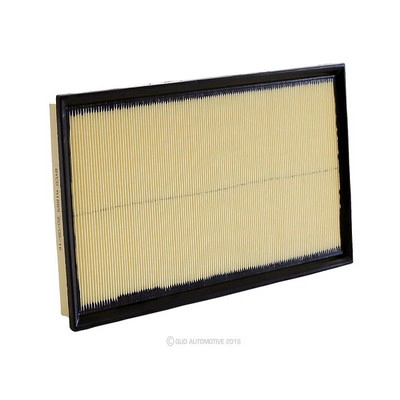 Air Filter (RY-A1889)