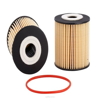 Oil Filter (RY-R2599P)