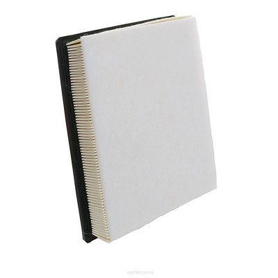 Air Filter (RY-A1828)