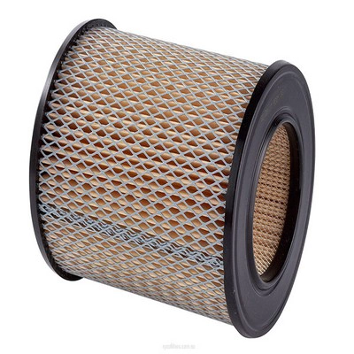 Air Filter (RY-A308)
