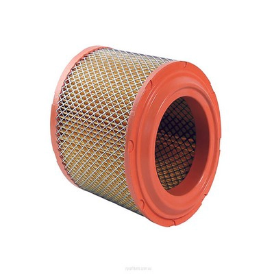 Air Filter (RY-A1810)
