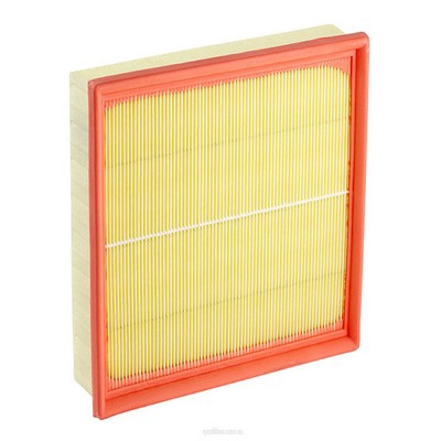 Air Filter (RY-A1509)