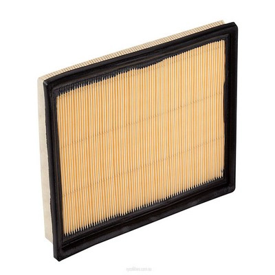 Air Filter (RY-A1430)