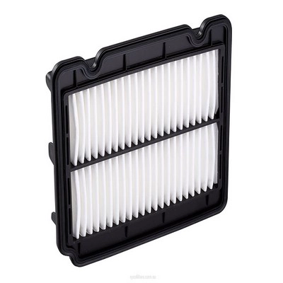Air Filter (RY-A1521)
