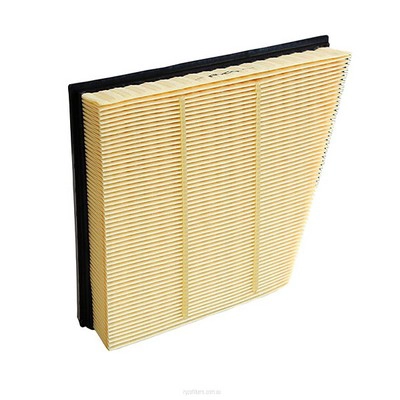 Air Filter (RY-A1871)