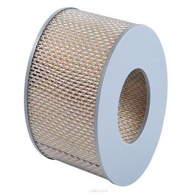 Air Filter (RY-A215X)