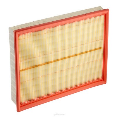 Air Filter (RY-A1677)
