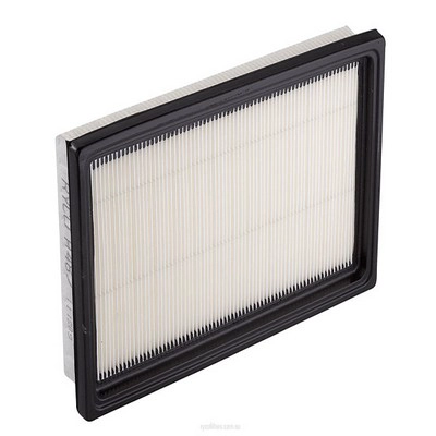 Air Filter (RY-A487)
