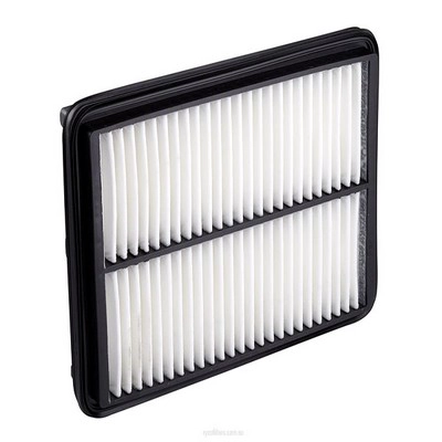 Air Filter (RY-A1757)