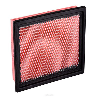 Air Filter (RY-A1316)