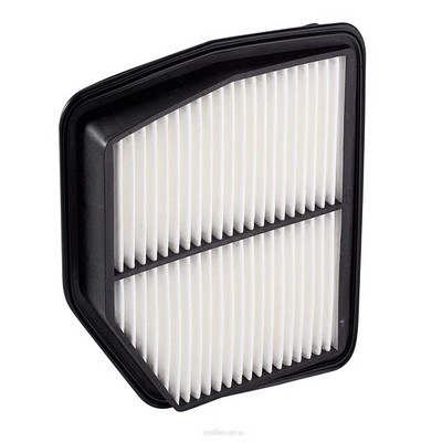 Air Filter (RY-A1766)