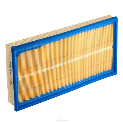 Air Filter (RY-A495)