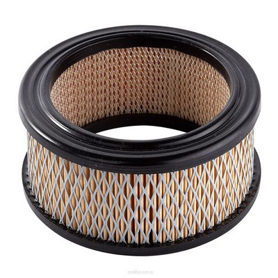 Air Filter (RY-A238)