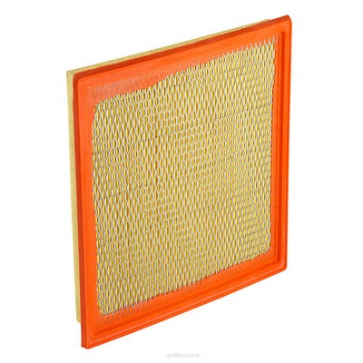 Air Filter (RY-A1332)