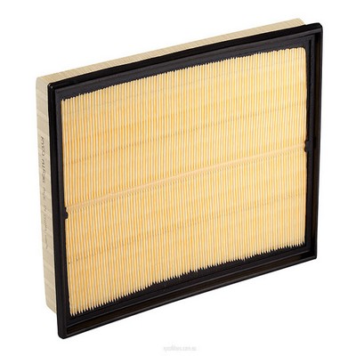 Air Filter (RY-A1596)