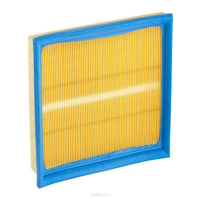 Air Filter (RY-A1305)