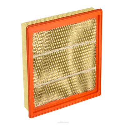 Air Filter (RY-A1618)