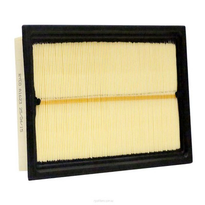 Air Filter (RY-A1623)