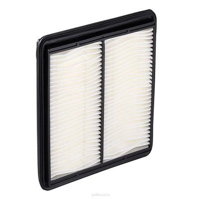 Air Filter (RY-A1249)