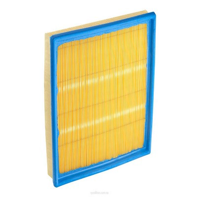 Air Filter (RY-A1480)