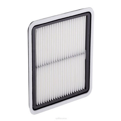 Air Filter (RY-A1527)