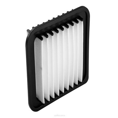 Air Filter (RY-A1771)