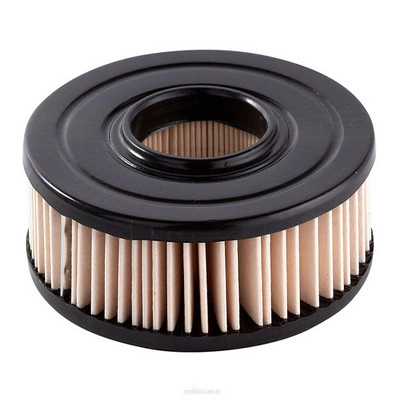 Air Filter (RY-A256)