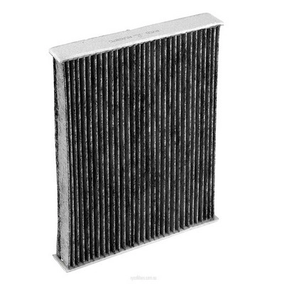 Filter, cabin air (RY-RCA207C)