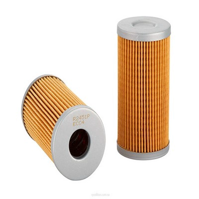 Fuel Filter (RY-R2451P)