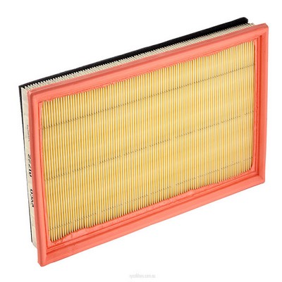 Air Filter (RY-A1722)