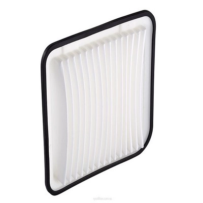Air Filter (RY-A1584)