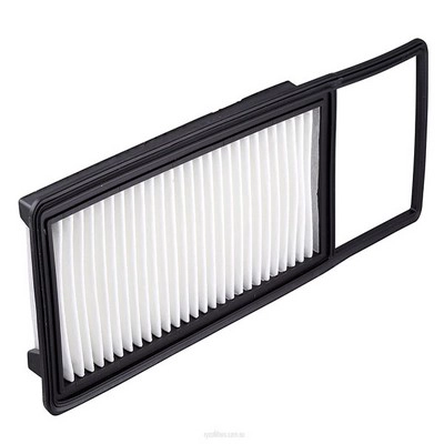 Air Filter (RY-A1526)