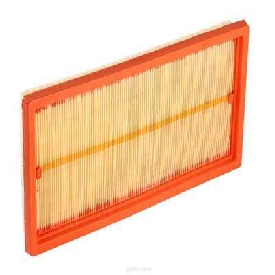 Air Filter (RY-A1731)